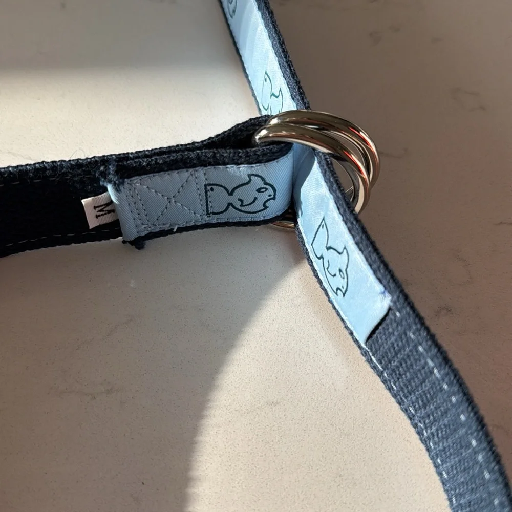 Southern Tide Little Boys Belt